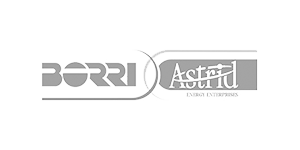 Logo BORRI Astrid